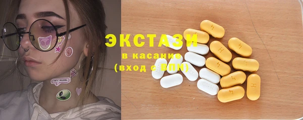 гашик Алексин