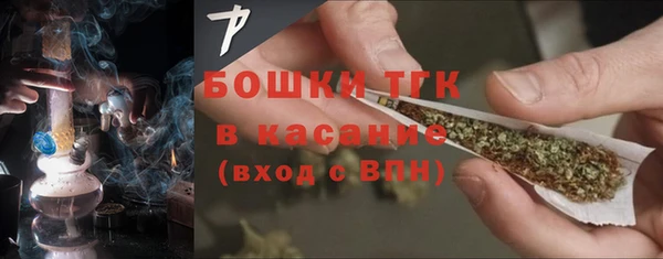 гидра Алексеевка