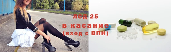 гашик Алексин