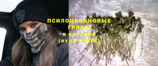 спайс Алзамай