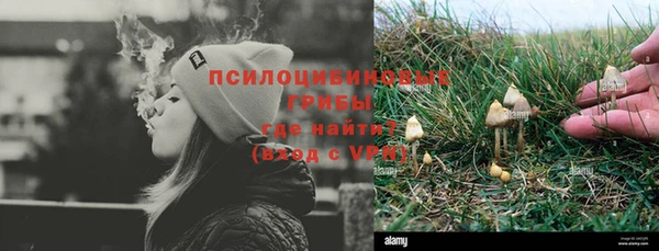 гашик Алексин