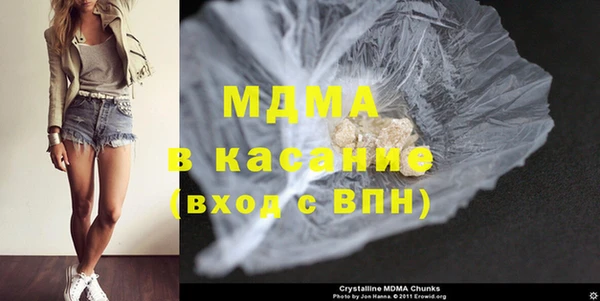 гашик Алексин