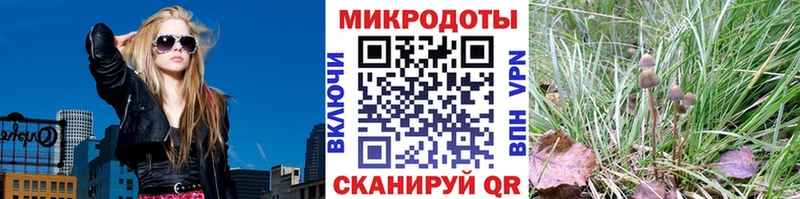 Галлюциногенные грибы Magic Shrooms  где найти наркотики  Алушта 